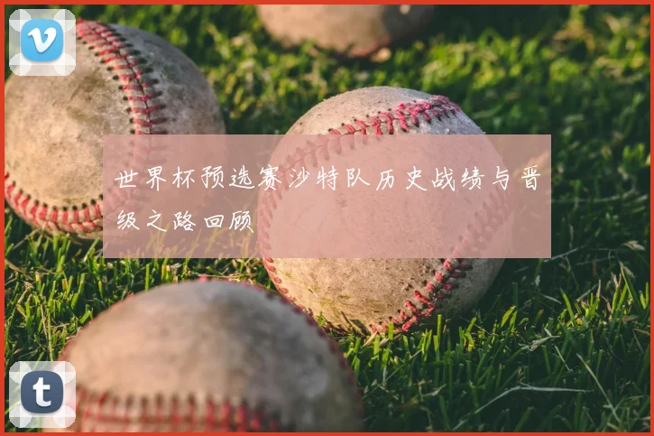世界杯预选赛沙特队历史战绩与晋级之路回顾