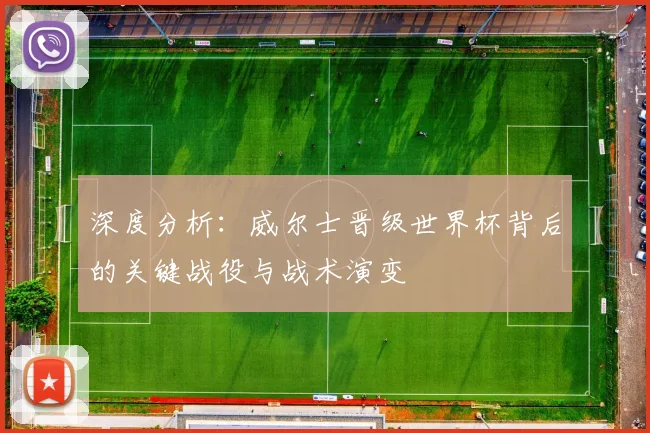 深度分析：威尔士晋级世界杯背后的关键战役与战术演变
