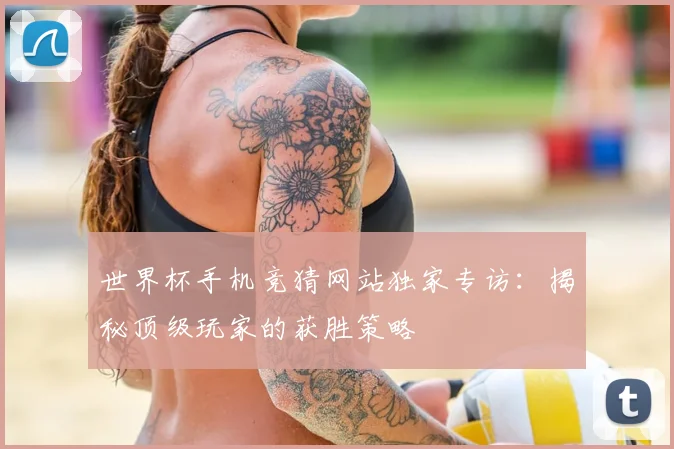 世界杯手机竞猜网站独家专访：揭秘顶级玩家的获胜策略