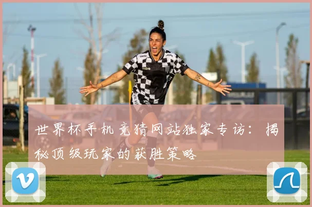 世界杯手机竞猜网站独家专访：揭秘顶级玩家的获胜策略
